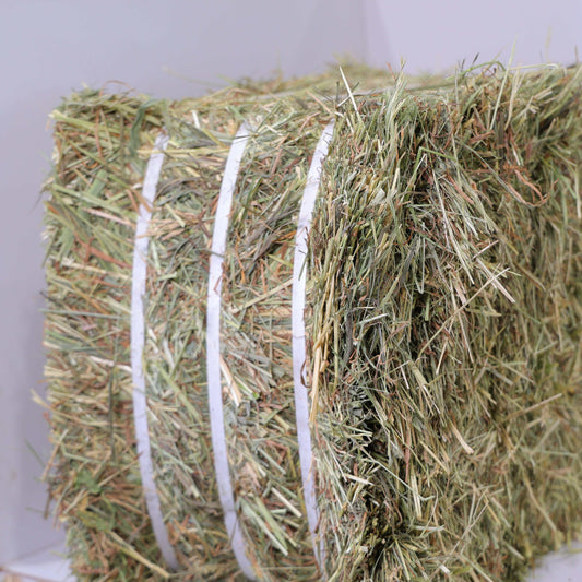 Bales of 1st Cutting Timothy Orchard Grass Hay tightly bound and stacked on a pallet ready for delivery
