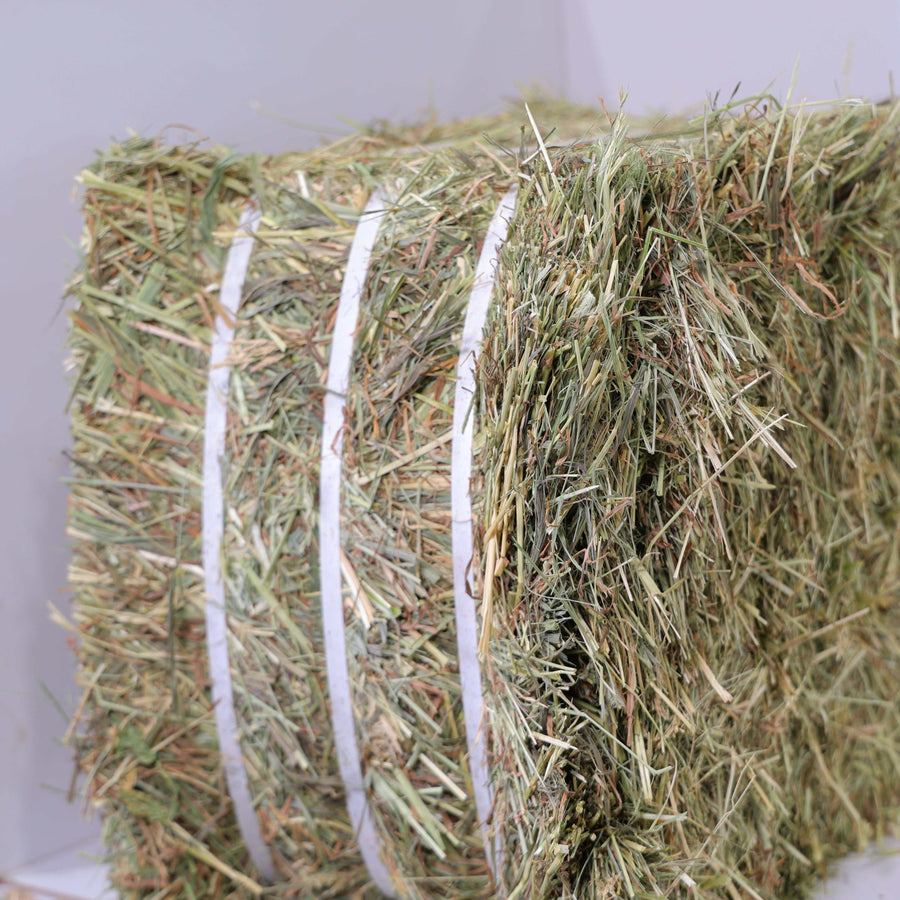 Timothy Orchard Grass Hay, 1st Cut – 18-Bale Pallet