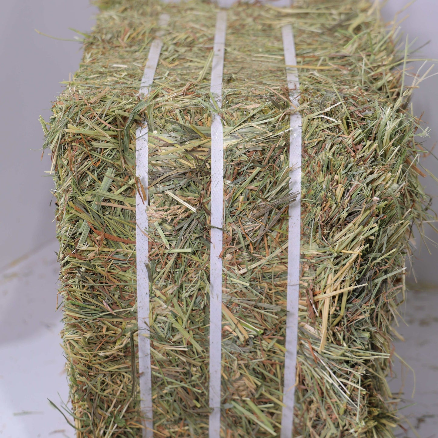 Close-up of a tightly bound bale of 1st Cutting Timothy Orchard Grass Hay with green and dry grass strands.