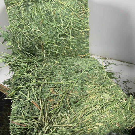 Western Nevada steamed alfalfa bale with excellent leaf retention, 43 lb, fresh green hay for livestock feed