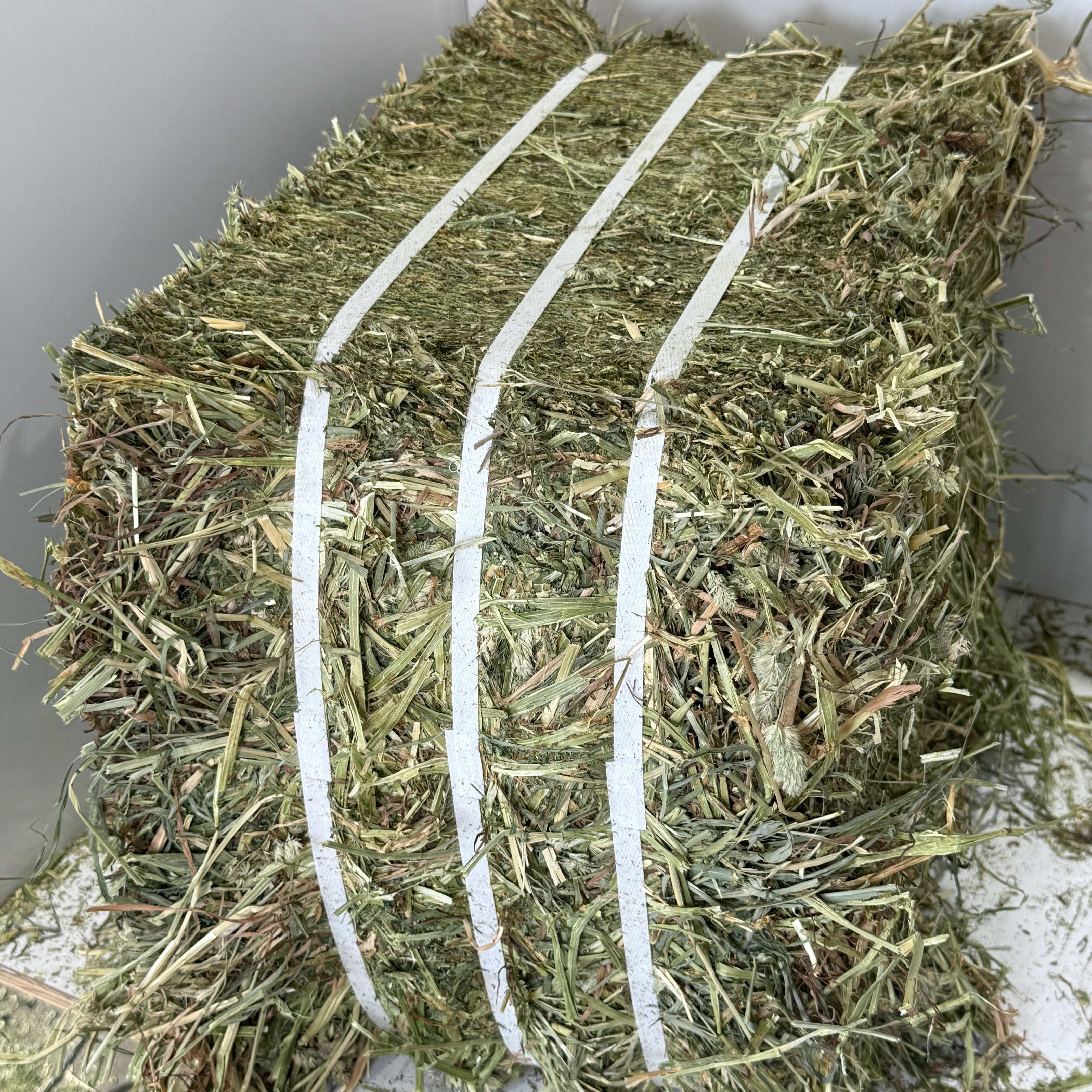 Premium Mixes of Alfalfa and Grass Hay for Healthy Livestock | Shop Now ...