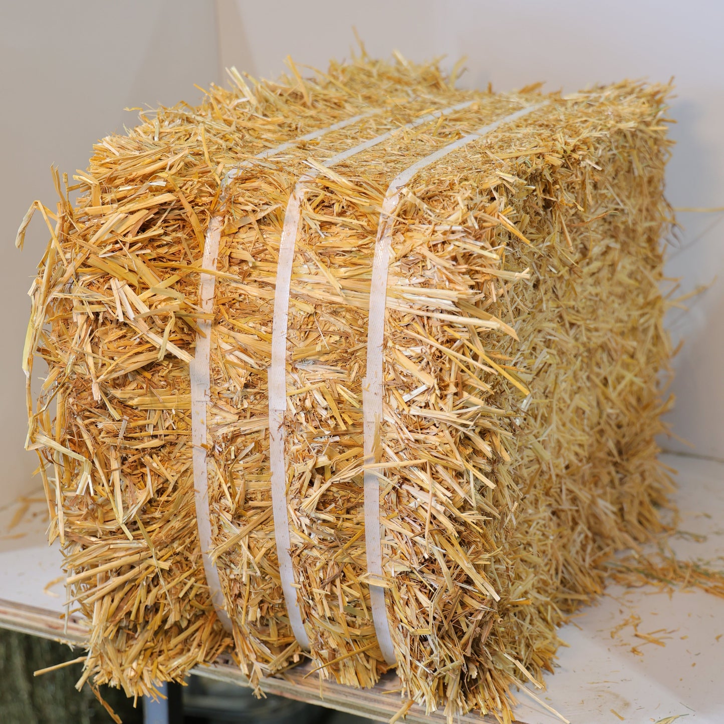 Straw - Wheat, Nice and Bright and CLEAN!