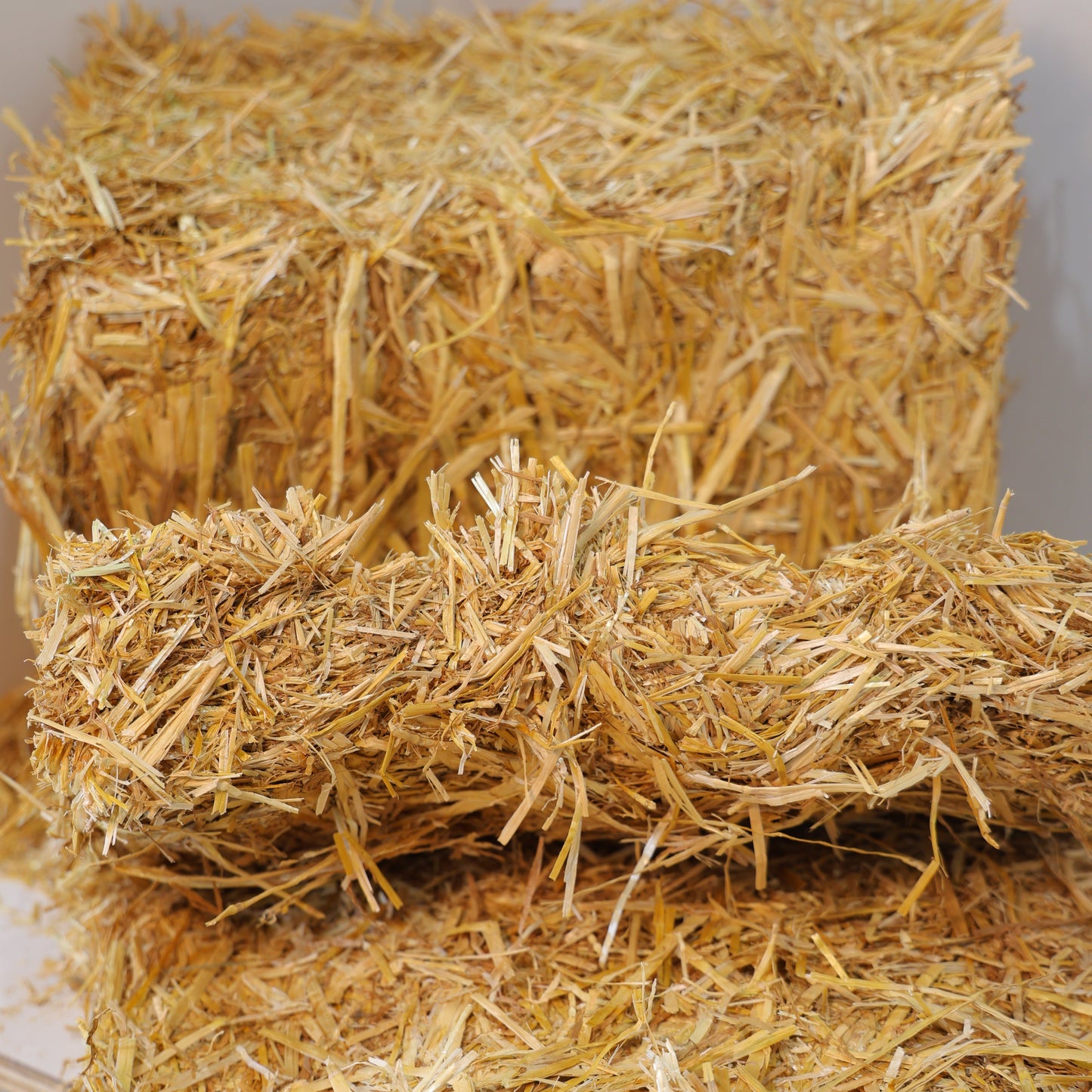 Straw - Wheat, Nice and Bright and CLEAN!