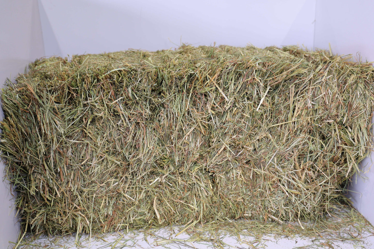 1st Cutting Timothy Orchard Grass Hay bale with mixed grass strands and natural texture