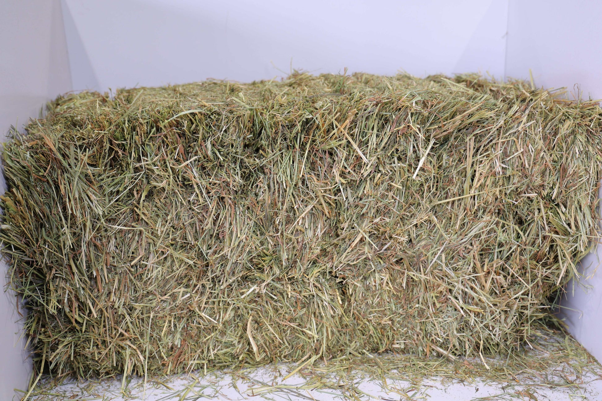 1st Cutting Timothy Orchard Grass Hay bale with mixed grass strands and natural texture