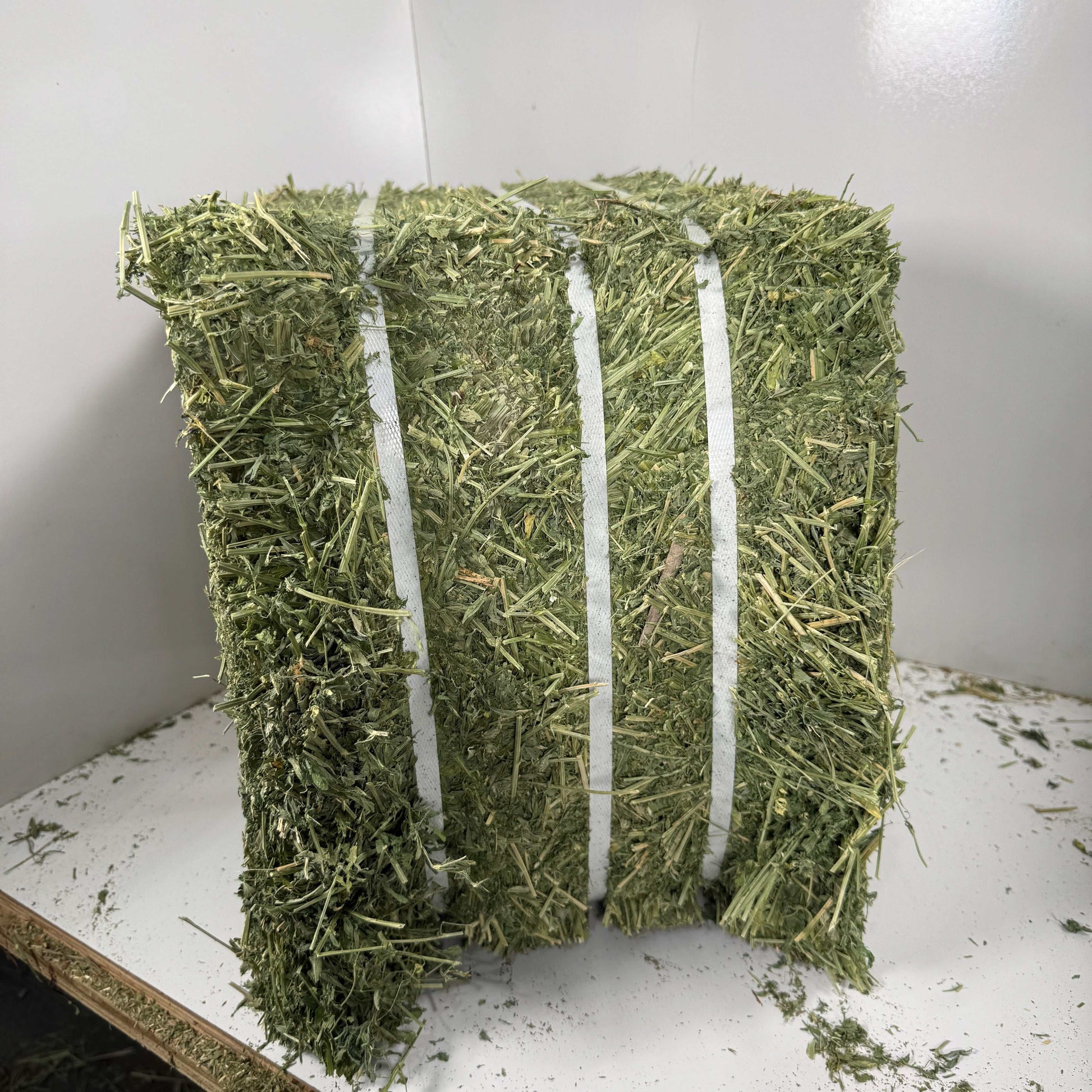 Western (Utah) steamed alfalfa bale with high leaf retention, bundled in 18 bales with delivery and forklift stacking service.