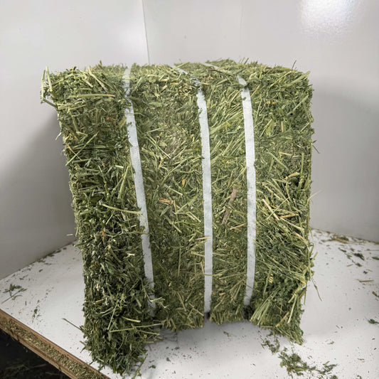 Western (Utah) steamed alfalfa bale with high leaf retention, bundled in 18 bales with delivery and forklift stacking service.