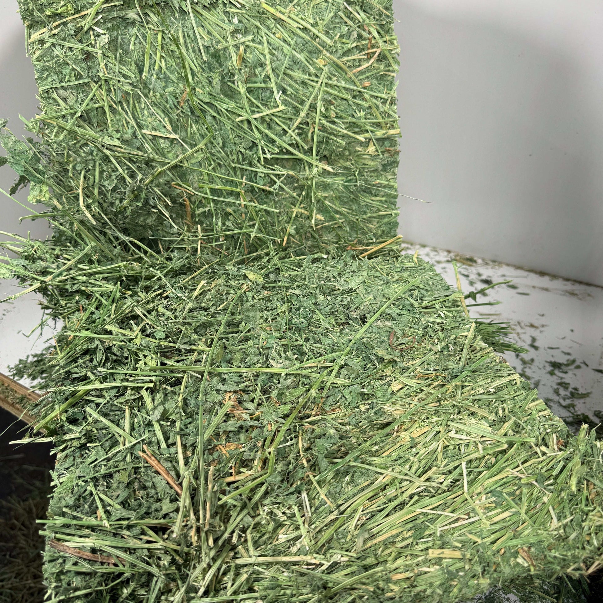Western Utah steamed alfalfa bale with excellent leaf retention, 43 lb, fresh green hay for livestock feed
