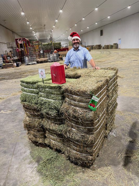 Man in Santa hat standing behind stacked bales of Timothy-Orchard Hay Xmas Bundle Promo with free Western Steamed Alfalfa bales in warehouse