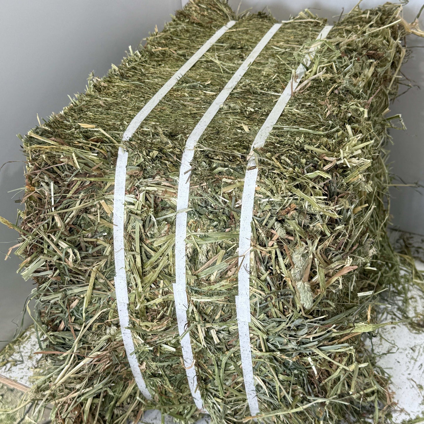 Close-up of a tightly bound bale of Timothy/Orchard/Alfalfa Mix hay with white straps.