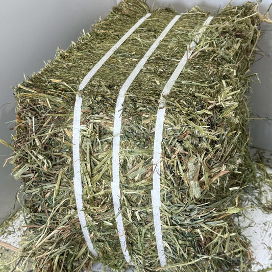 Close-up of a tightly bound bale of Timothy/Orchard/Alfalfa Mix hay with white straps.