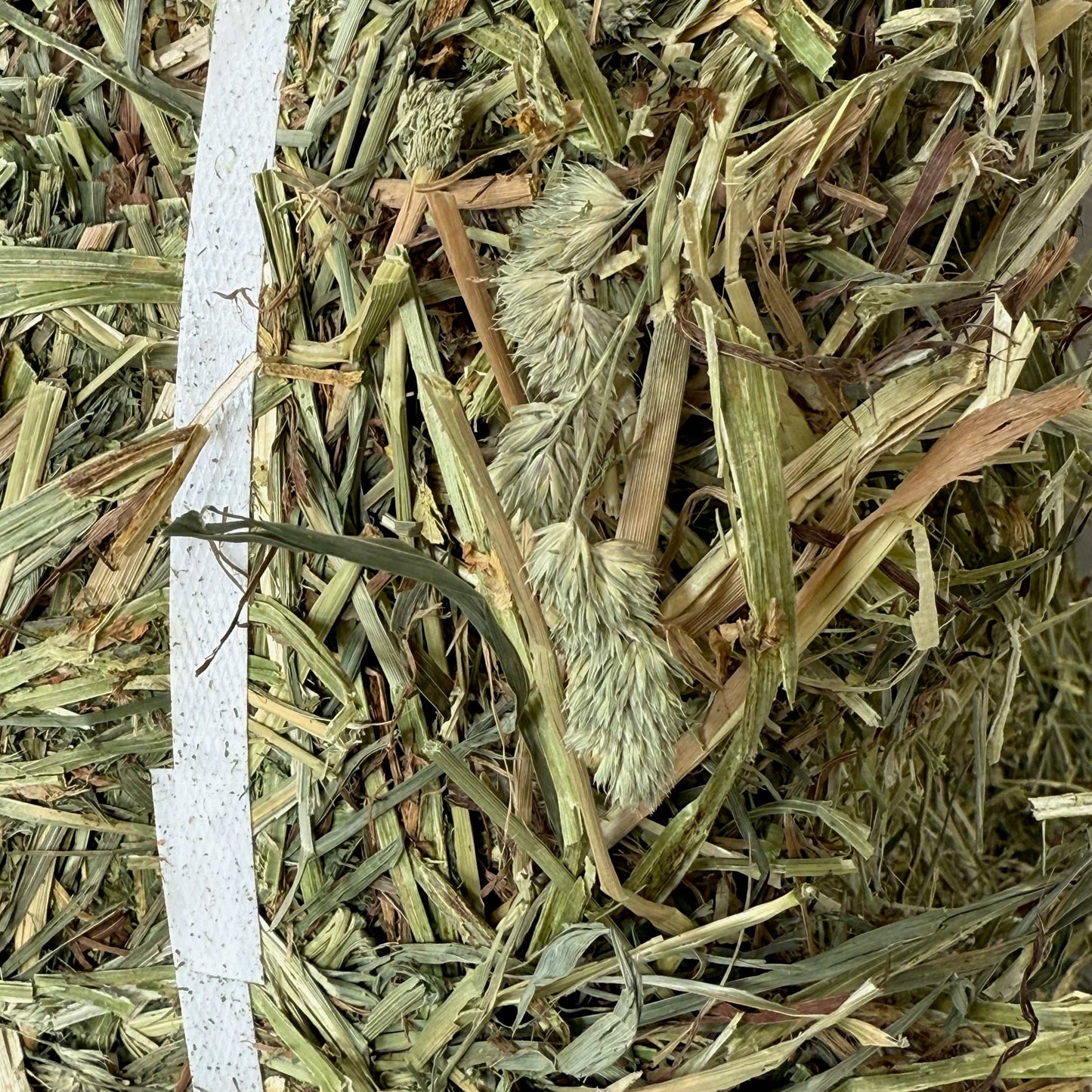 Close-up of Michigan Timothy/Orchard/Alfalfa Mix hay with green and dry grass stems and seed heads.