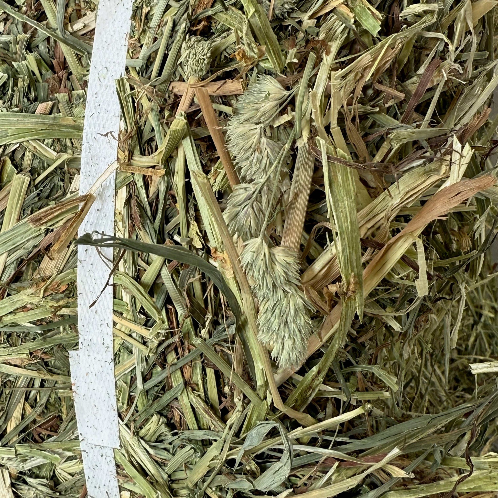 Close-up of Michigan Timothy/Orchard/Alfalfa Mix hay with green and dry grass stems and seed heads.
