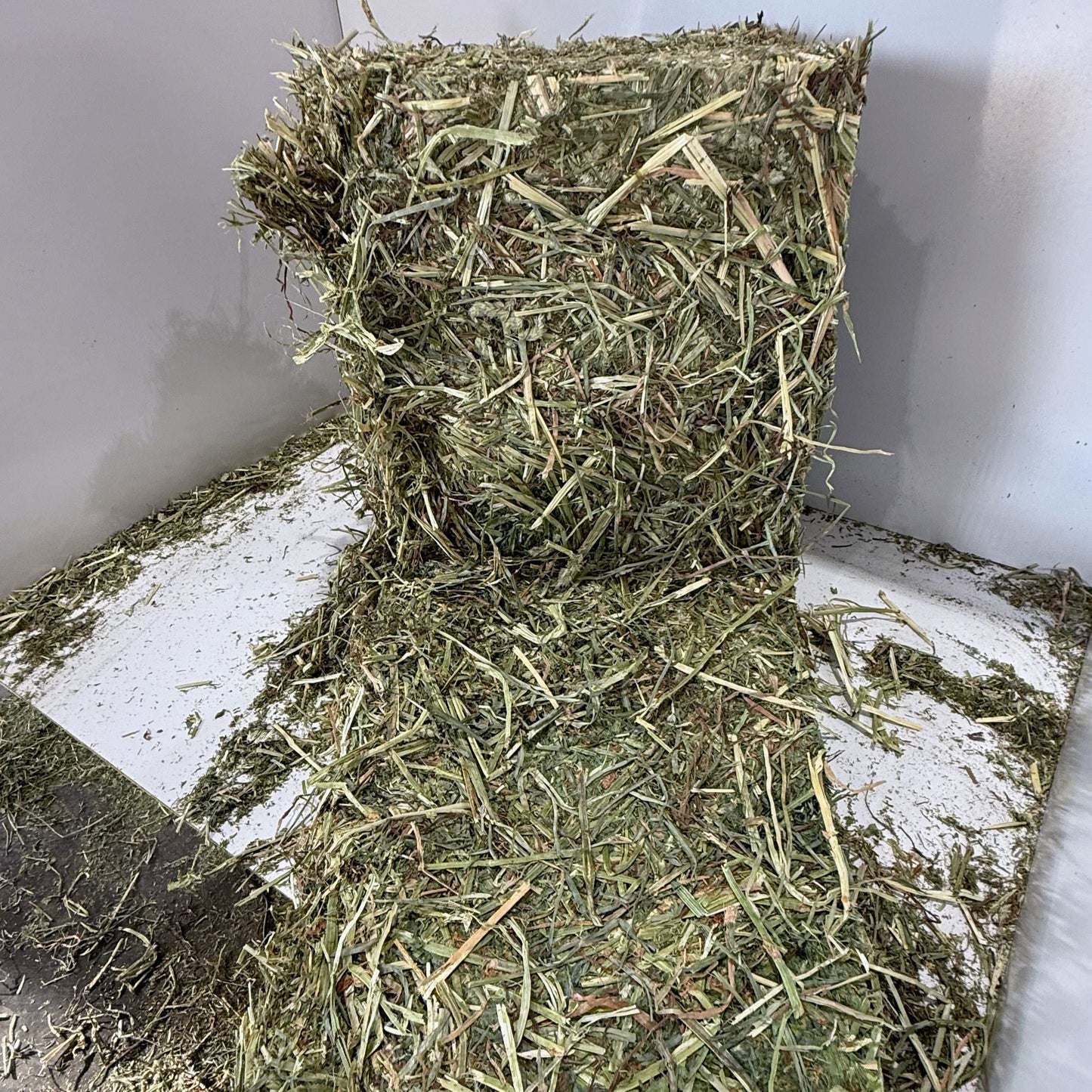 Square bale of Michigan Timothy, Orchard, and Alfalfa mix hay with loose hay scattered around.
