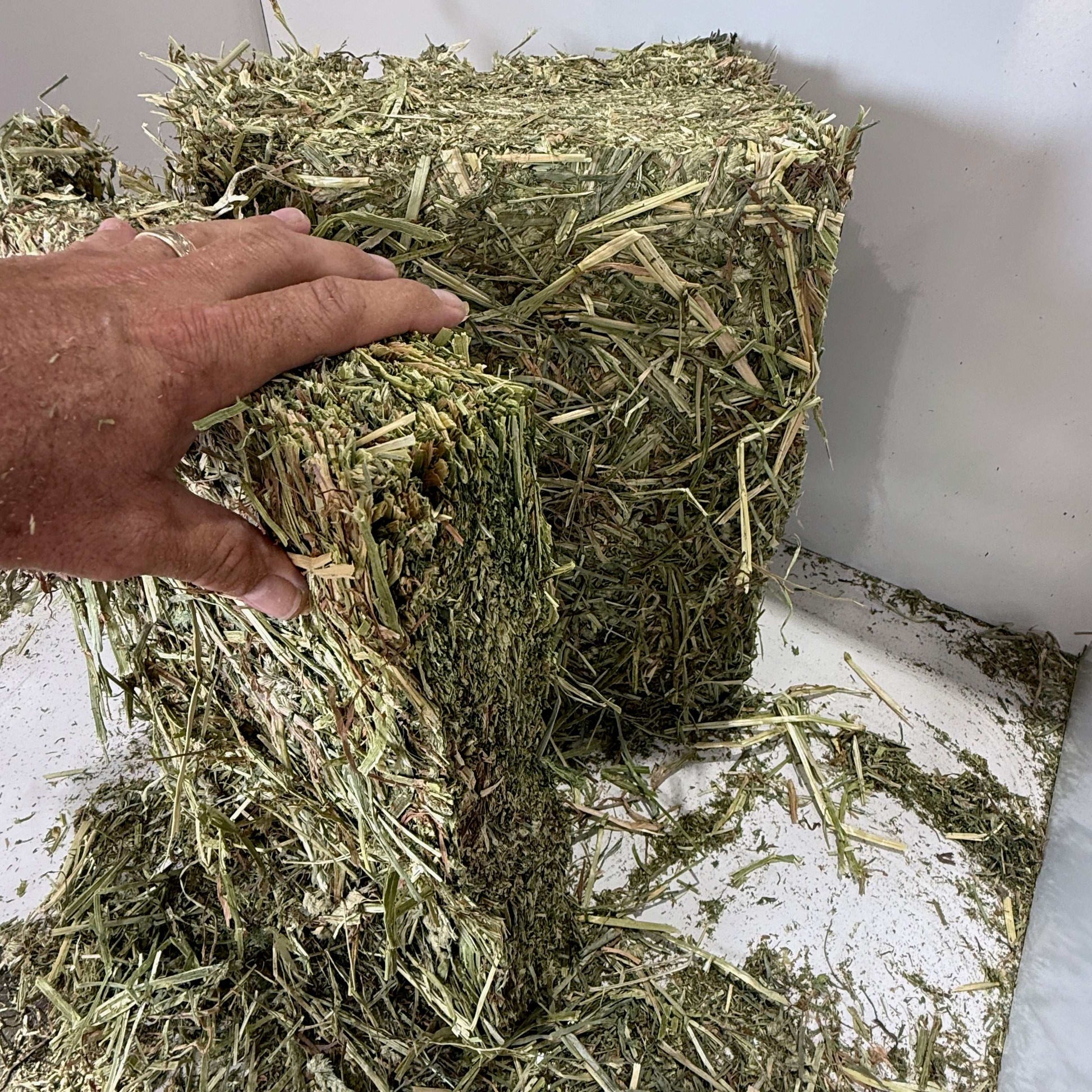 Hand holding a dense bale of Timothy/Orchard/Alfalfa Mix hay with a larger hay bale in the background.