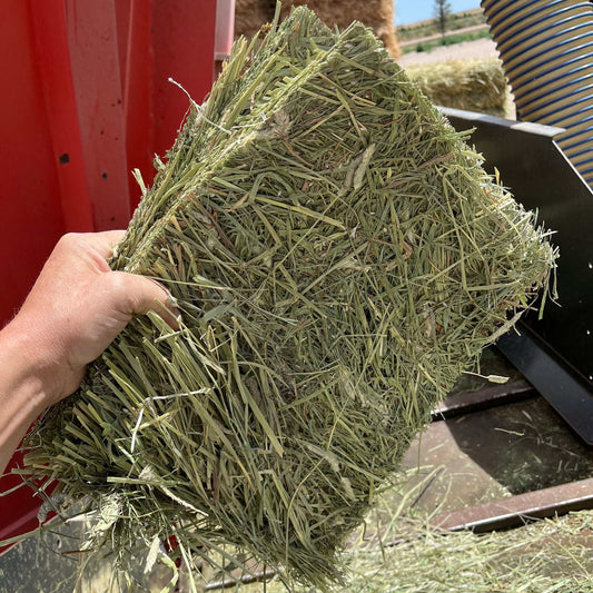 Hand holding a dense bale of Western Timothy hay, 1st cutting, ultra premium quality, with farm equipment and additional hay bales in the background.