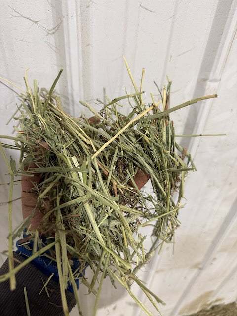 2nd Cut Western Timothy hay with a little brown leaf delivered to farms with forklift and ground-level placement