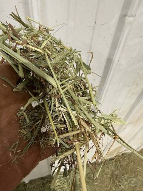 2nd Cut Western Timothy hay with a little brown leaf delivered to farm with forklift service