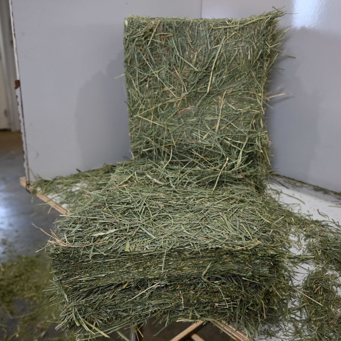 Stack of 2nd cutting orchard grass hay bales from Colorado on a wooden surface indoors