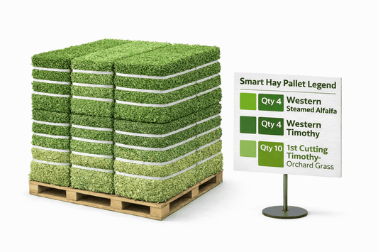 SmartHay Balanced Forage Pallet with 18 bales of lab-tested Timothy and Alfalfa hay for balanced horse nutrition