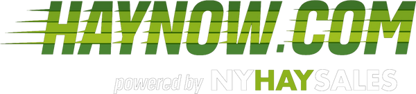 HAYNOW.COM